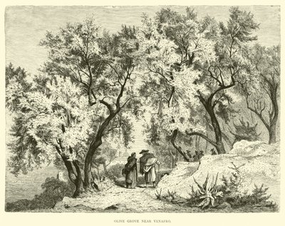 Olive Grove nær Venafro av English School