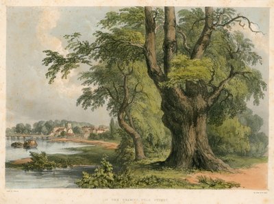 Ved Themsen, nær Putney, London av English School