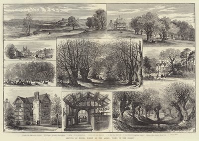 Åpning av Epping Forest by the Queen, Views in the Forest (gravering) av English School