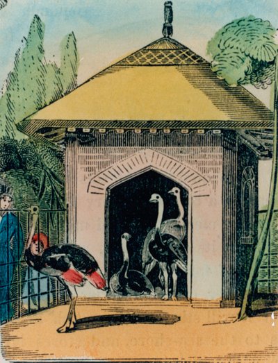 Struts og emu-hus i London zoo. 1840-årene av English School