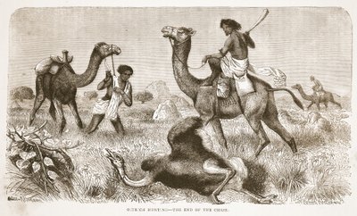 Strutsjakt - slutten på jakten, illustrasjon fra The Pictorial Edition of the Life and Discoveries of David Livingstone av J. Ewing Richie, pub. av A. Fullarton & Co., 1876 av English School