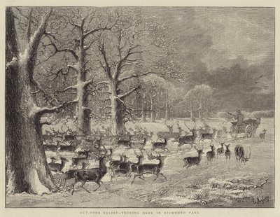 Utendørsavlastning, mating av hjort i Richmond Park (gravering) av English School