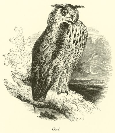 Ugle av English School