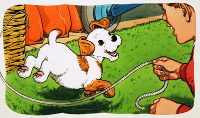 Paddy Paws av English School