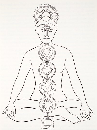 Padmasana eller lotusstilling av English School
