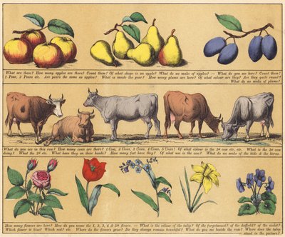 Side fra The New Picture Book (farge litho) av English School