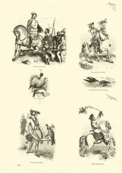 Side fra The Pictorial Museum of Animated Nature av English School