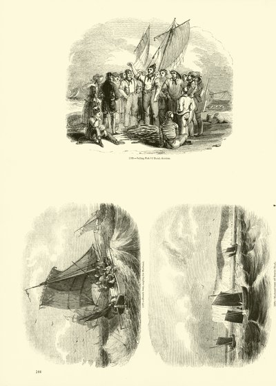 Side fra The Pictorial Museum of Animated Nature av English School