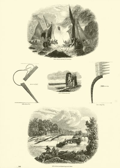 Side fra The Pictorial Museum of Animated Nature av English School