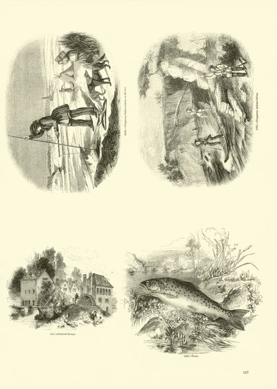 Side fra The Pictorial Museum of Animated Nature av English School