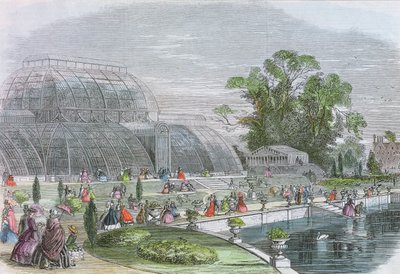 Palm House, Kew (gravering) av English School