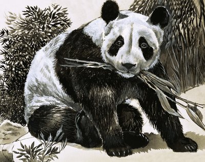 Panda av English School