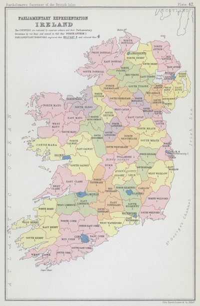 Parlamentarisk representasjon, Irland (fargelitografi) av English School