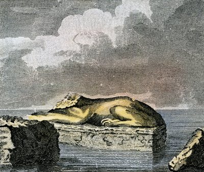 Del av en egyptisk sfinks funnet i ruinene av den gamle byen Canopus  av English School