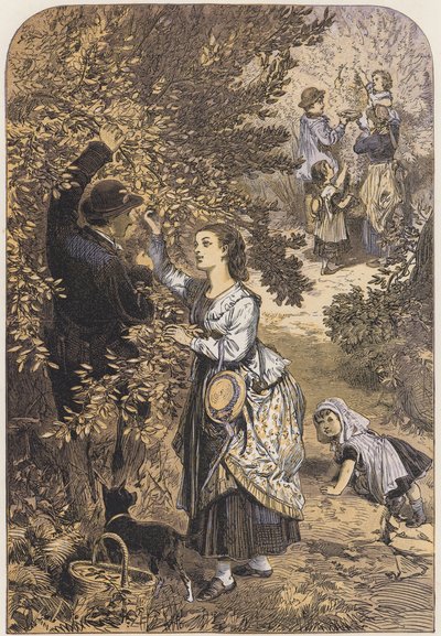 Plukke nøtter (farge litho) av English School