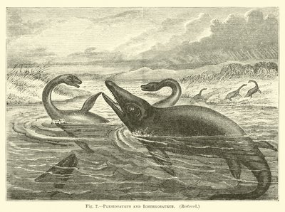 Plesiosaurus og Ichthyosaurus av English School