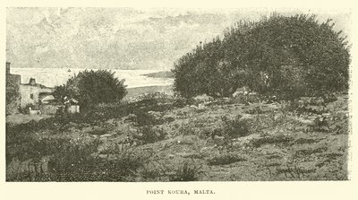 Point Koura, Malta av English School