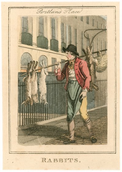 Portland Place. Kaniner av English School