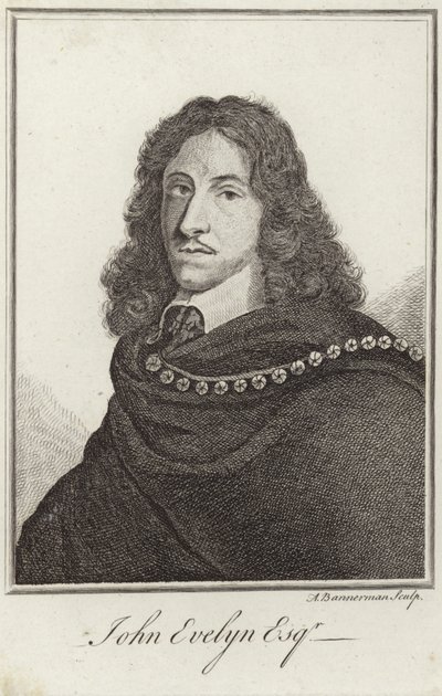 Portrett av John Evelyn av English School