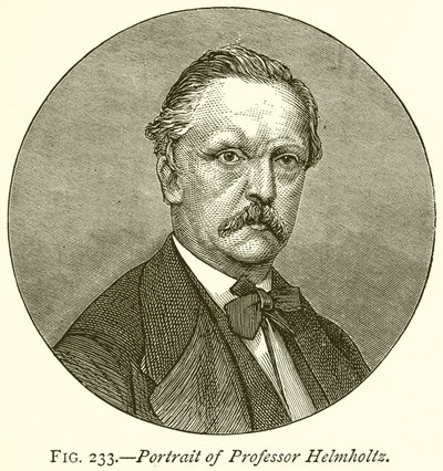 Portrett av professor Helmholtz av English School