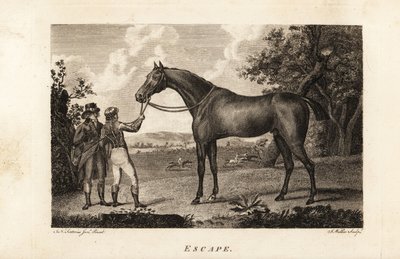 Portrett av den berømte fullblodsraceren Escape med jockey og trener av English School