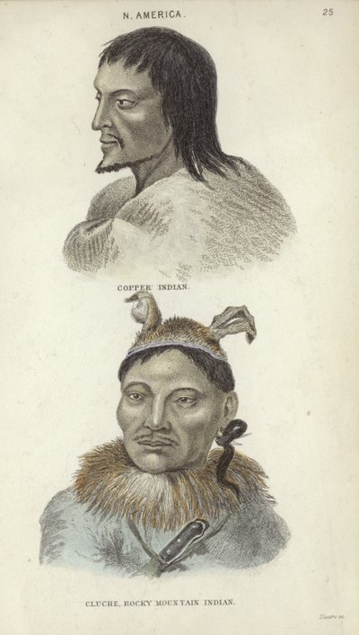 Portretter av en kobberindianer og en Rocky Mountain-indianer (fargegravering) av English School
