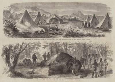 Prins Arthur i Sør-Afrika (gravering) av English School