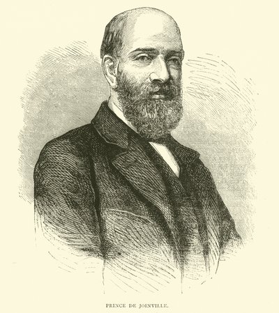 Prince de Joinville, februar 1871 av English School