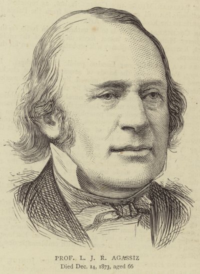 Professor LJR Agassiz (gravering) av English School