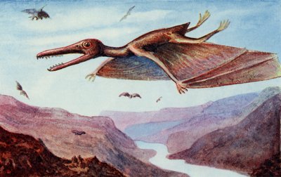 Pterodactyl, fra «The Wonder Book of Would You Believe It», redigert av Harry Golding av English School