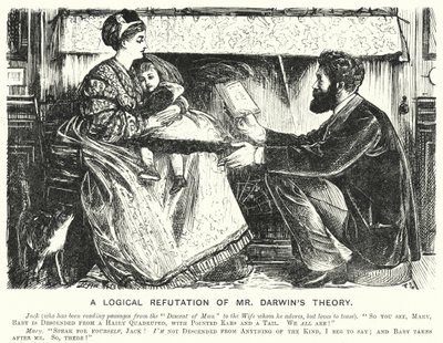 Punch tegneserie: A Logical Refutation of Mr Darwin's Theory (gravering) av English School