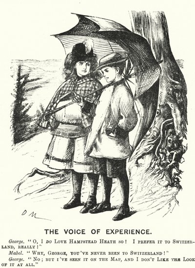 Punch tegneserie: The Voice of Experience (gravering) av English School