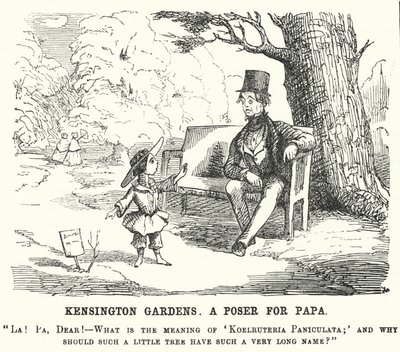 Punch tegneserie: barn stiller faren et spørsmål i Kensington Gardens, London (gravering) av English School