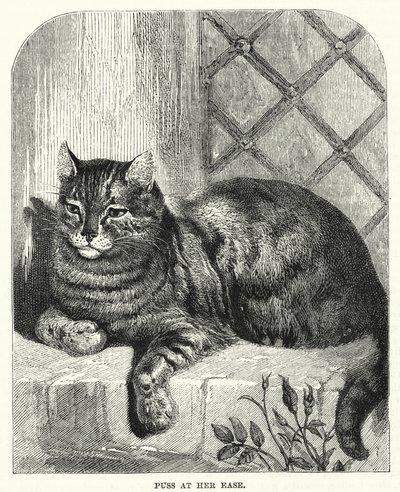 Puss på hennes letthet (gravering) av English School