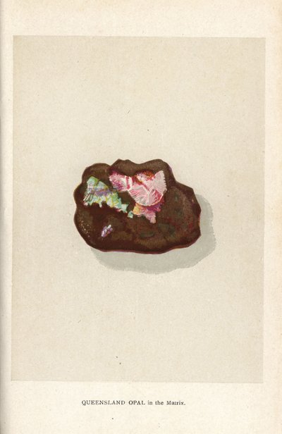 Queensland-opal i matrisen, fra Edwin Streeters "Precious Stones and Gems," London, George Bell & Sons av English School