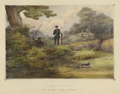 Kaninskyting (litho i farger) av English School