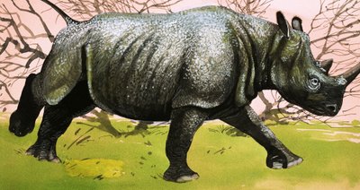 Nashorn von English School