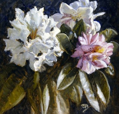 Rhododendron (olje på papir) av English School