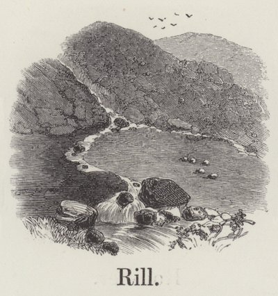 Rill (gravering) av English School