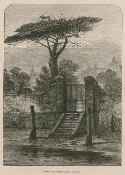 Elveporten til den botaniske hagen av English School