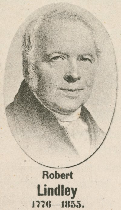 Robert Lindley (gravyr) av English School