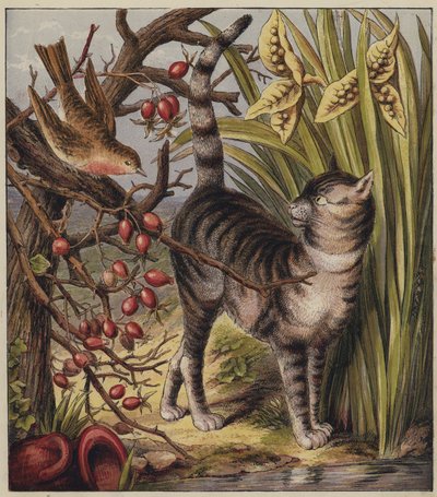 Robins julesang (farge litho) av English School