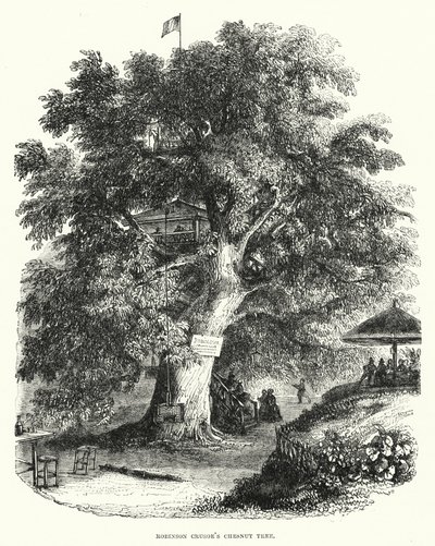 Robinson Crusoes kastanjetre (gravering) av English School