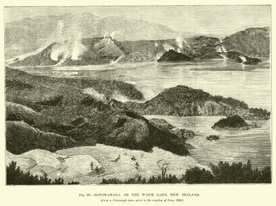Rotomahana, eller The Warm Lake, New Zealand av English School