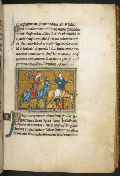 Kongelig 12 F.XIII, f.39   To menn med to menn med rumper. , fra Bestiary (ff. 3-141), Lapidary (ff. 141v-149)  , 2. kvartal av 1200-tallet (vellum) av English School