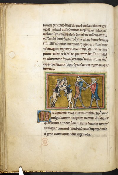 Royal 12 F.XIII, f.42v To riddere som kjemper til fots med sverd, mens hestene deres kjemper mot hverandre på bakbeina. , fra Bestiary (ff. 3-141), Lapidary (ff. 141v-149)  , 2. kvartal av 1200-tallet (vellum) av English School