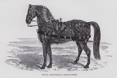 Royal Hannoverian Coach-Horse (gravering) av English School