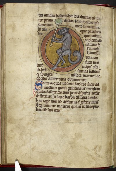 Royal MS 12 C XIX, f.15v Satyr, fra 'Bestiary', c.1200-10 (blekk, farge og gull på vellum) av English School