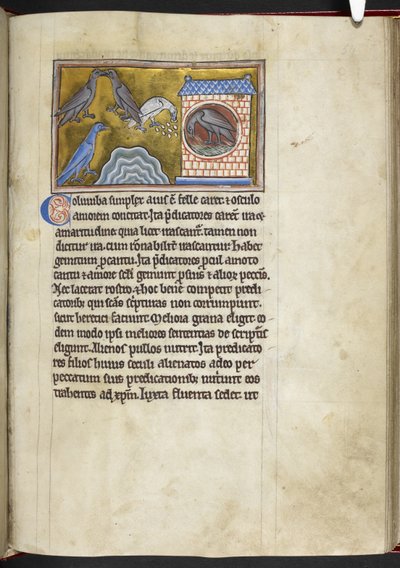 Royal MS 12 C XIX f.54r Doves, fra 