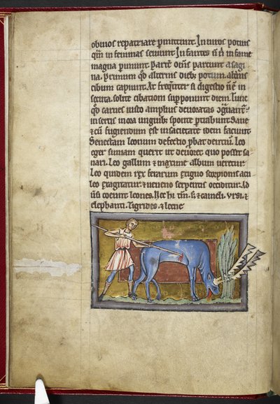 Royal MS 12 C XIX, f.7v Antilope, fra 'Bestiary', c.1200-10 (blekk, farge og gull på vellum) av English School